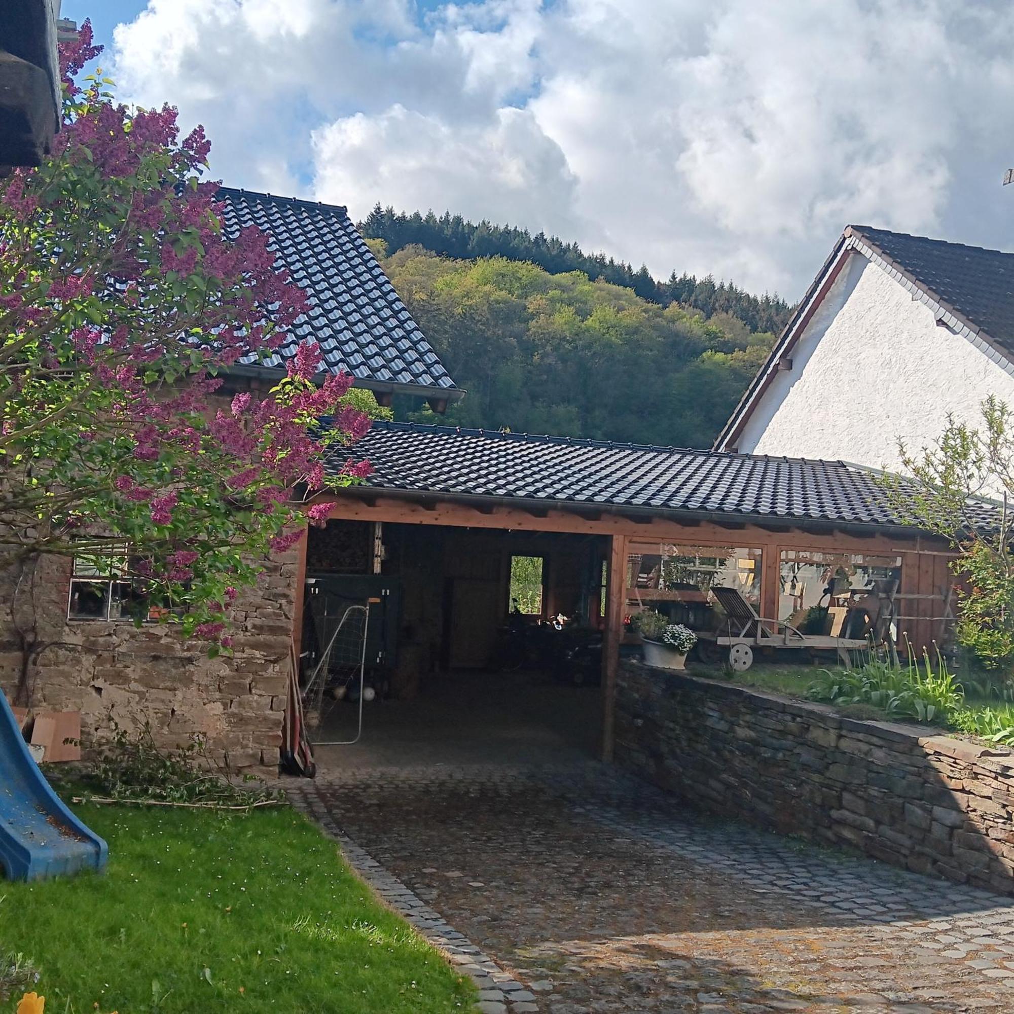 Вілла Eifler Brunnenhaus Dumpelfeld Екстер'єр фото